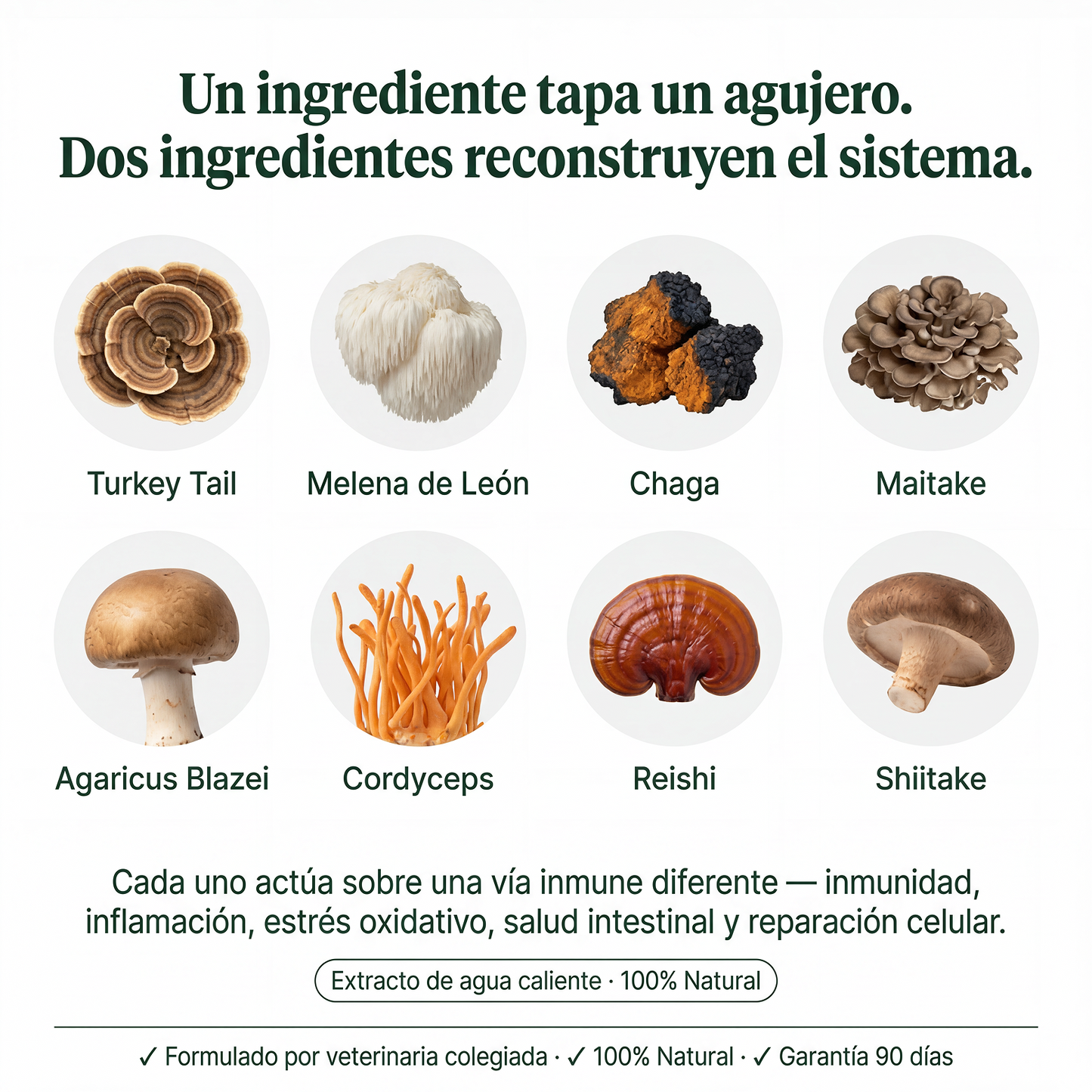 Turkey Tail Probiótico™ |  Reduce los bultos de tu perro