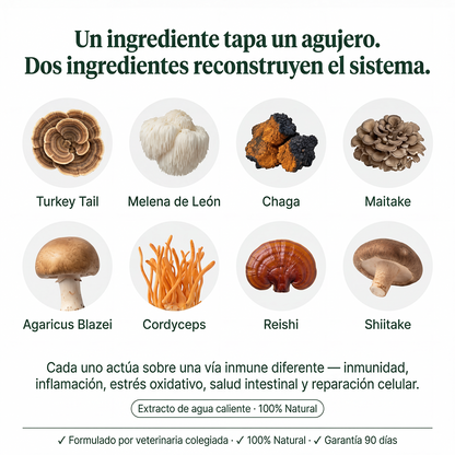 Turkey Tail Probiótico™ |  Reduce los bultos de tu perro